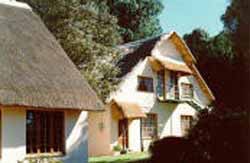 Thatchings Guest House - Between Currys Post and Nottingham Road